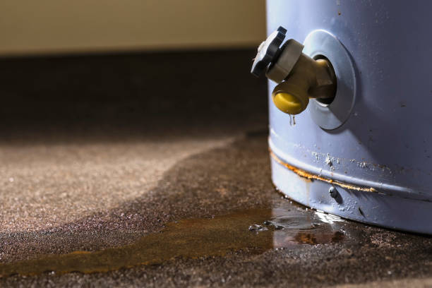 Best Flood damage cleanup  in Cambridge, IL