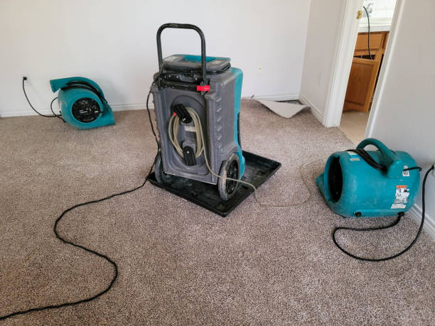 Best Ceiling water damage repair  in Cambridge, IL
