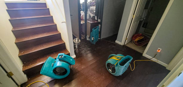 Best Fire Damage Restoration  in Cambridge, IL